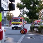 (c) FW Mainz