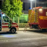 BYC-News.de